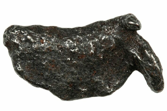 Gebel Kamil Iron Meteorite ( g) - Egypt #302714